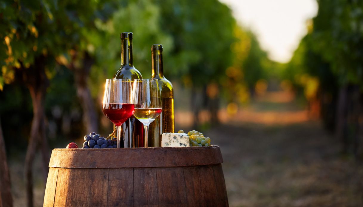 Berebene 2023: i migliori vini italiani per rapporto tra qualità e prezzo