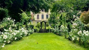 Vigna Leonardo Casa Atellani