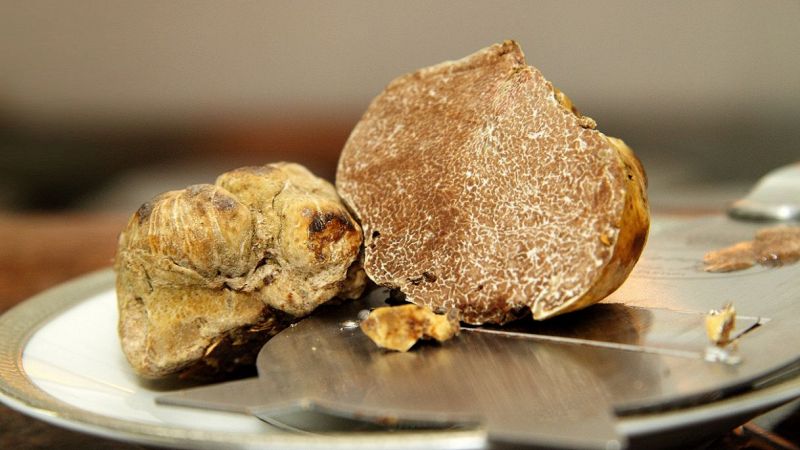 Il tartufo soffre il clima: i prezzi sono in picchiata