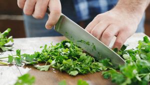 La pianta più pericolosa del mondo? La usiamo tutti in cucina