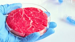 Carne sintetica