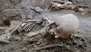 Pompei, trovati due nuovi scheletri: furono vittime del terremoto