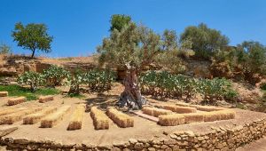 Giardino della Kolymbethra