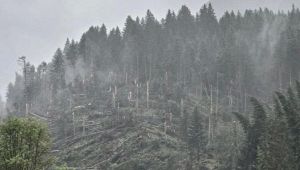 Downburst in Veneto