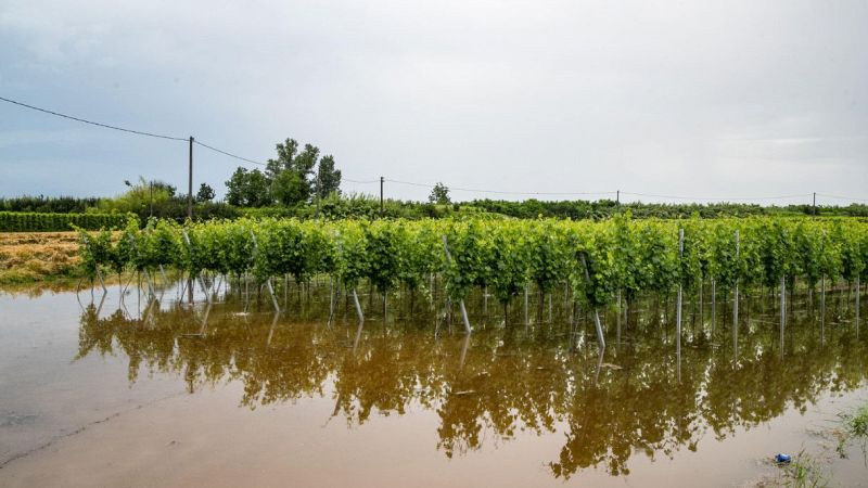 Alluvione