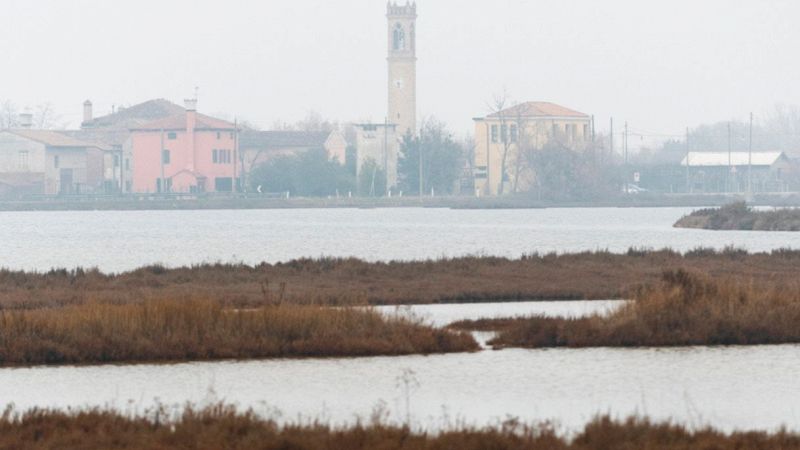 La foglia d'oro: una preziosa arte conservata nella città di Venezia