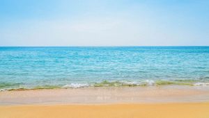 Mare
