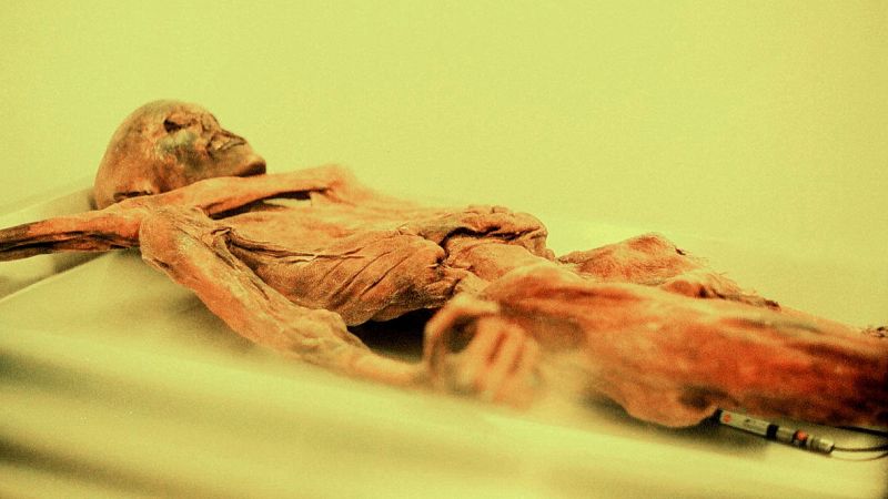 Il DNA rivela il vero volto di Ötzi