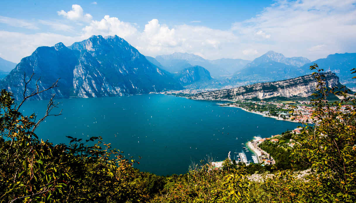Lago di Garda: ci sono 43 specie aliene