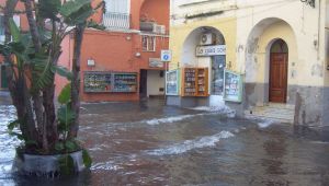 Pesca miracolosa ad Ischia: i pesci in piazza
