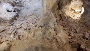 Sensazionale scoperta al Circeo: Neanderthal e sapiens si incontrarono qui