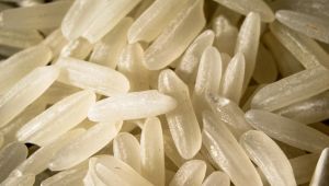 Il risotto più buono d'Italia
