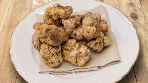 Tartufo bianco d'Alba