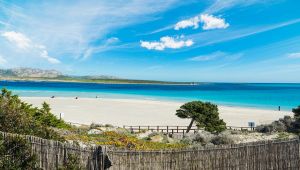Spiaggia della Pelosa