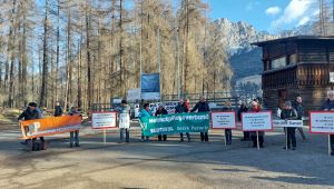 Proteste Cortina