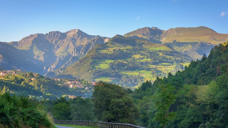 Un fiore mai visto prima in Italia