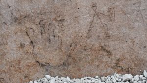 Disegni gladiatori Pompei