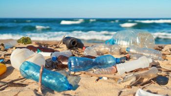 Rifiuti in spiaggia