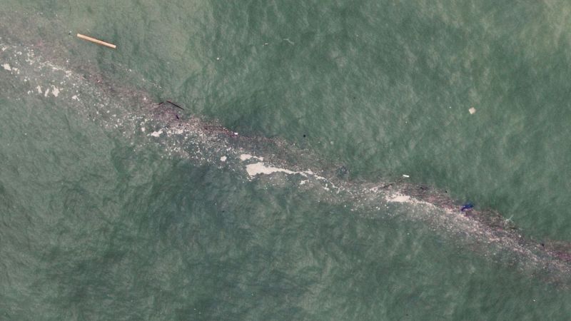 Scoperta nel Mediterraneo