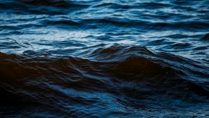 Annegamenti in mare:problema delle barriere antierosionetierosione