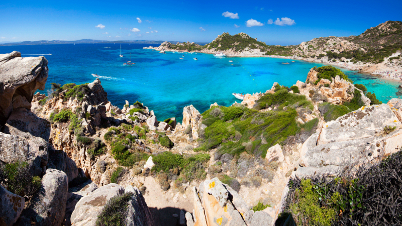 bimbo-morso-cinghiale-chiusura-isola-spargi-abbattimento