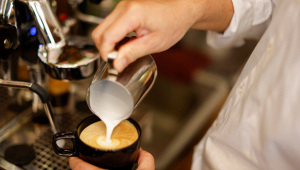 tiktoker-usa-caso-cappuccino-italiani-malvagi