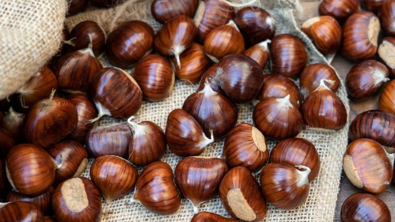 Castagne