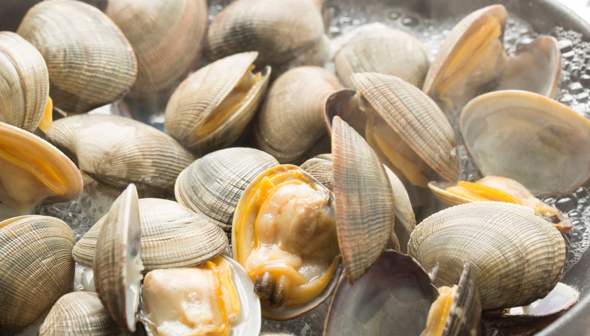 Vongole