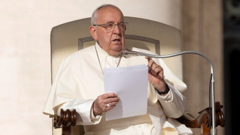 Albero di Natale di Papa Francesco suscita polemiche per l'abbattimento