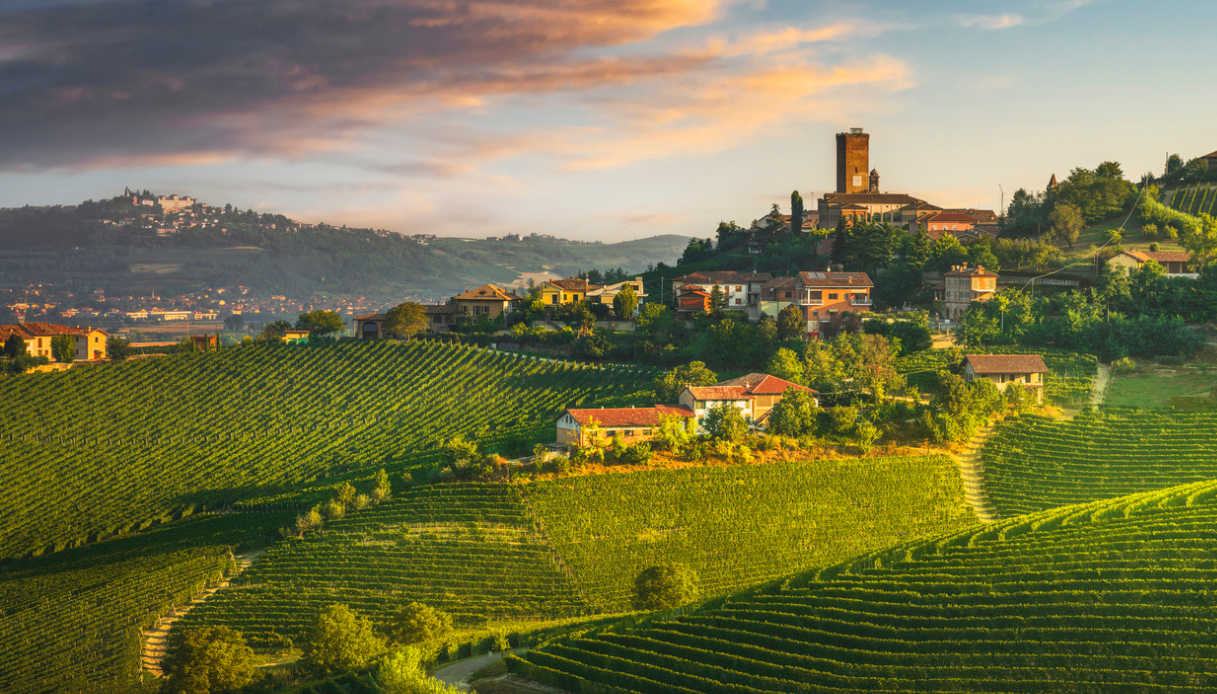 Allarme Langhe per il Barolo a rischio a causa di turismo crescente e speculazione immobiliare