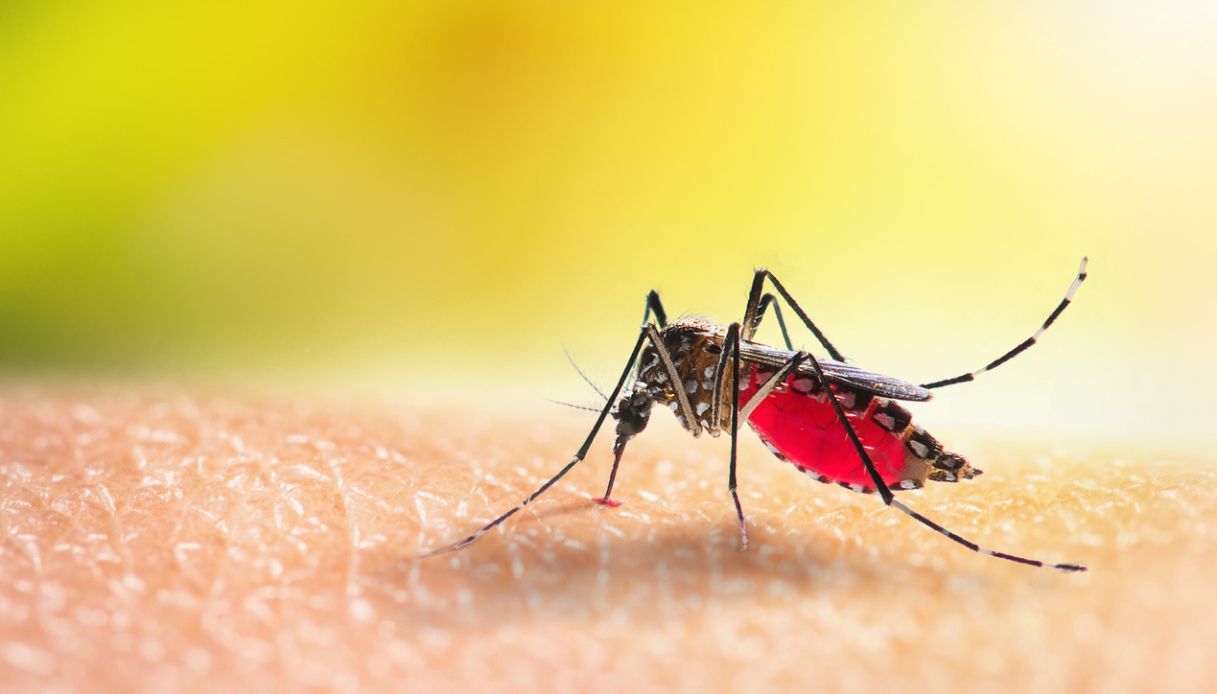 malaria in Italia