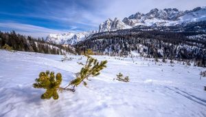 Cortina d'Ampezzo