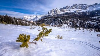Vacanze sulla neve, mete top in Italia