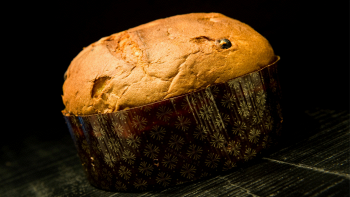 PanCriCri è il primo panettone con farina di grilli e insetti