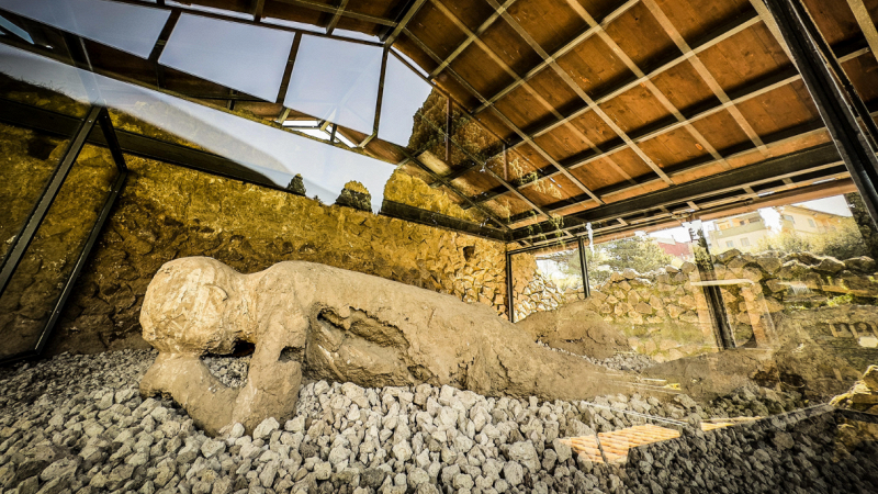 pompei-dna-antico-storia-popolazione