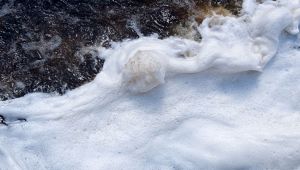 Schiuma nel mare di Bellaria