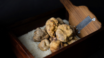 Record storico per il prezzo del tartufo bianco d'Alba
