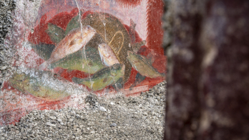 nuova-scoperta-pompei-affreschi-nature-morte-scavi