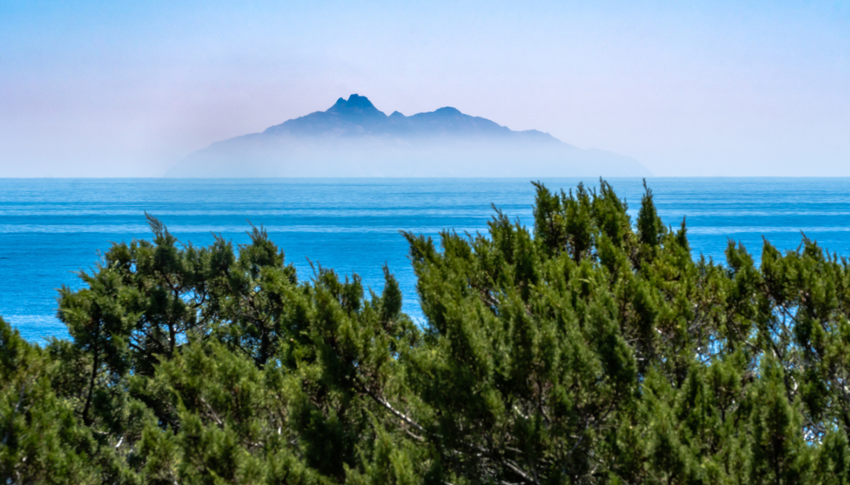 Montecristo il mistero del tesoro nascosto sull'isola toscana