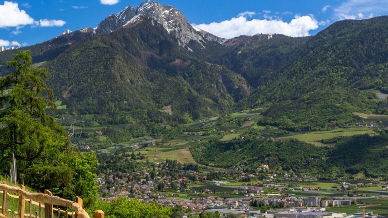 Alto Adige