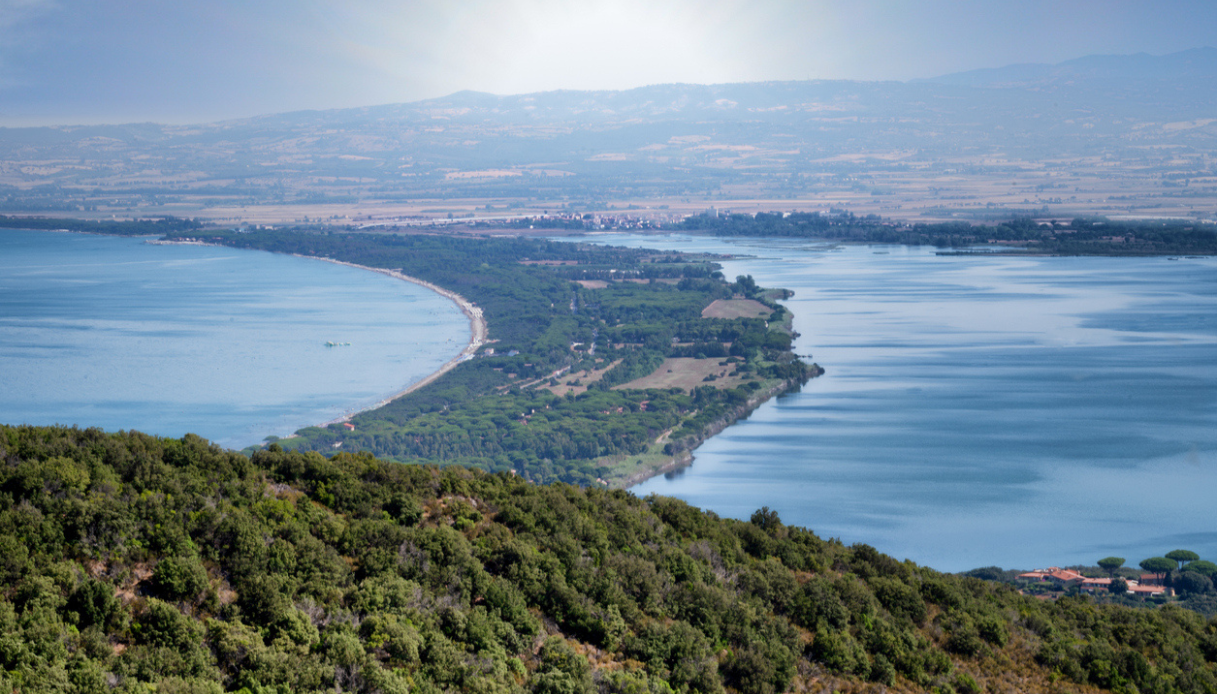 Allarme mare Toscana ecosistema a rischio equilibrio