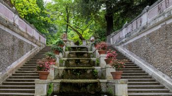 Orto Botanico Roma