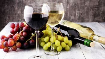I migliori vini sotto i 20 euro al mondo per il NYT