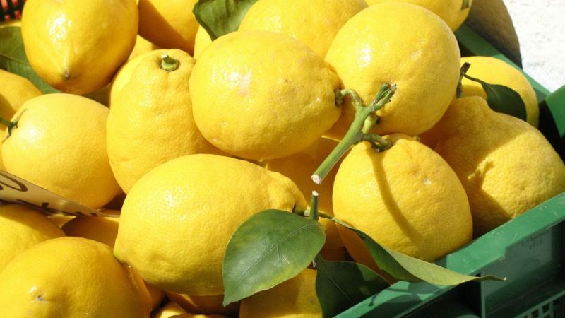 Allarme limoni in Sicilia