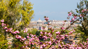 hanami-ciliegi-fiore-roma-milano