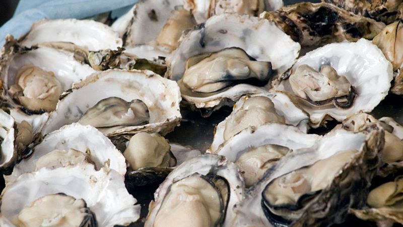 Le ostriche sono un caso