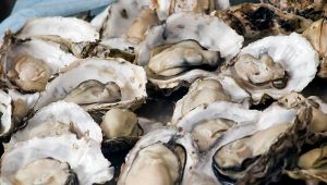 Le ostriche sono un caso