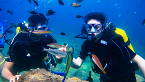 pesci-riconoscono-persone-mediterraneo