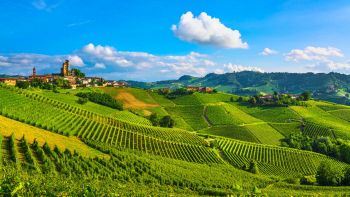 Barolo vigneto più caro