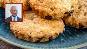 Biscotti Garibaldi